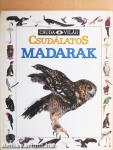 Csudálatos madarak