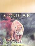 Cougar