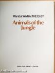 Animals of the Jungle