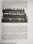 A Berzsenyi Dániel Evangélikus Gimnázium (Líceum) Évkönyve az 1995/96. tanévről az iskola fennállásának 439. évében
