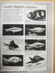 Akvarista kézikönyv