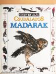 Csudálatos madarak