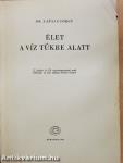 Élet a víz tükre alatt