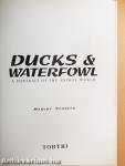 Ducks & Waterfowl