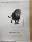 Lapbooks: Wildtiere