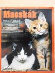 Macskák