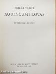 Aquincumi lovas