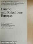 Lurche und Kriechtiere Europas