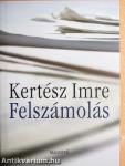 Felszámolás