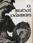 A Budai Várban