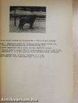 Nemzetközi F. C. I. - CACIB Kutyakiállítás 1991. Április 27-28.