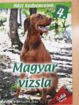 Magyar vizsla