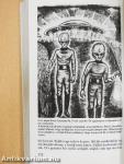 UFO kapcsolat a reticulumi lényekkel