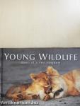 Young Wildlife of South Africa