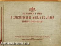 A székesfőváros multja és jelene