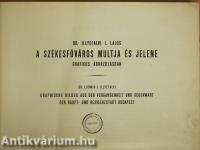 A székesfőváros multja és jelene