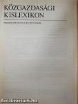 Közgazdasági kislexikon