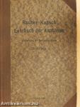 Rauber's Lehrbuch der Anatomie des Menschen Abteilung 5. (töredék)