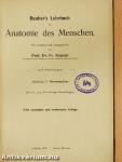 Rauber's Lehrbuch der Anatomie des Menschen Abteilung 5. (töredék)