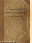 Rauber's Lehrbuch der Anatomie des Menschen 2. (töredék)