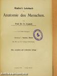 Rauber's Lehrbuch der Anatomie des Menschen 2. (töredék)