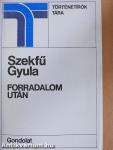 Forradalom után
