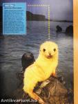 National Geographic Kids 2006. augusztus-szeptember