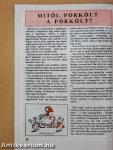 Fakanál - 101 apróhúsétel recept