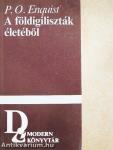 A földigiliszták életéből