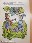 A solymári csóka