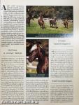Nemzetközi Lovas Magazin 2001. január-december