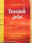 Testünk jelei