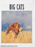 Big Cats