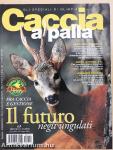 Caccia a palla Giugno 2000