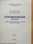 Közgazdaságtan