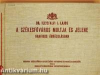 A székesfőváros multja és jelene