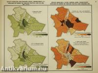 A székesfőváros multja és jelene