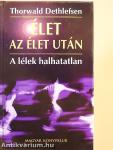 Élet az élet után