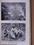 Hunting in the Wilderness