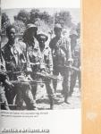 Golyózáporban Angola földjén