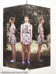 Fufavi Collection N°6