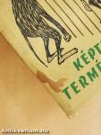 Képtelen természetrajz
