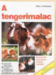 A tengerimalac