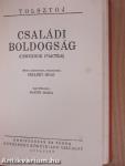 Ifjuságom regénye I-III./Családi boldogság