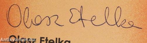 Tündériskola/Kapu Tündérországba (dedikált példány)