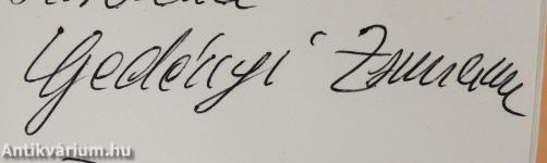 Emlékek zsongása (dedikált példány)