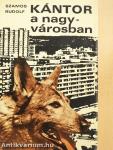 Kántor a nagyvárosban