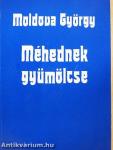 Méhednek gyümölcse