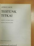 Testünk titkai