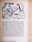 Luisa San Felice I.